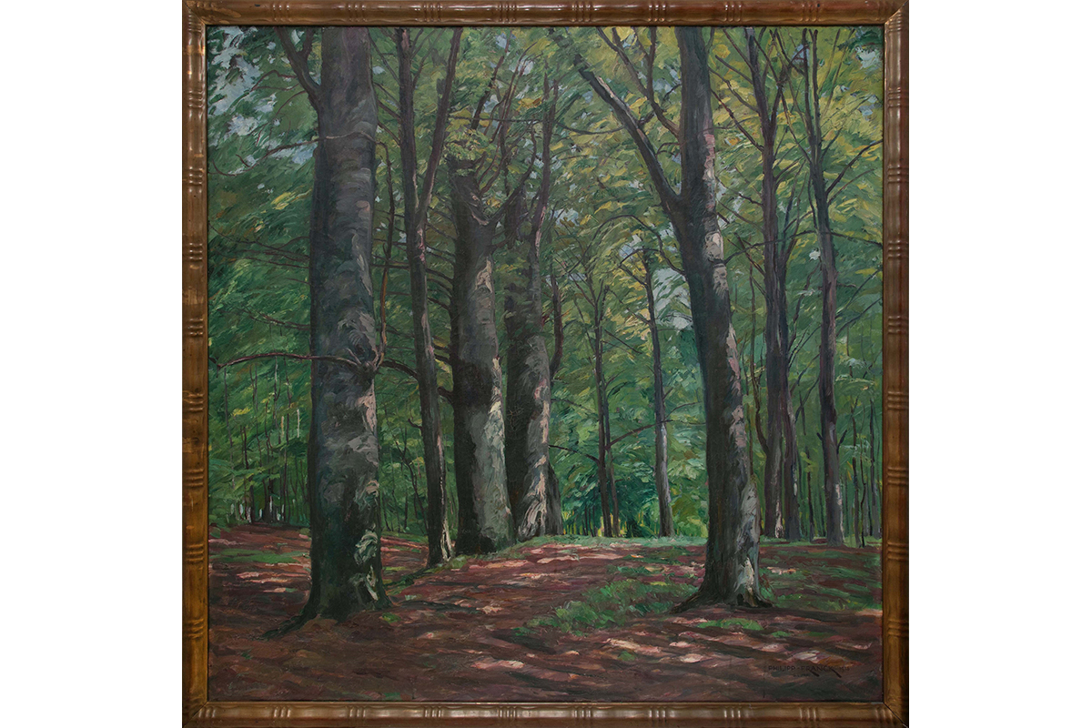Im_Falkensteiner_Wald_1200x800